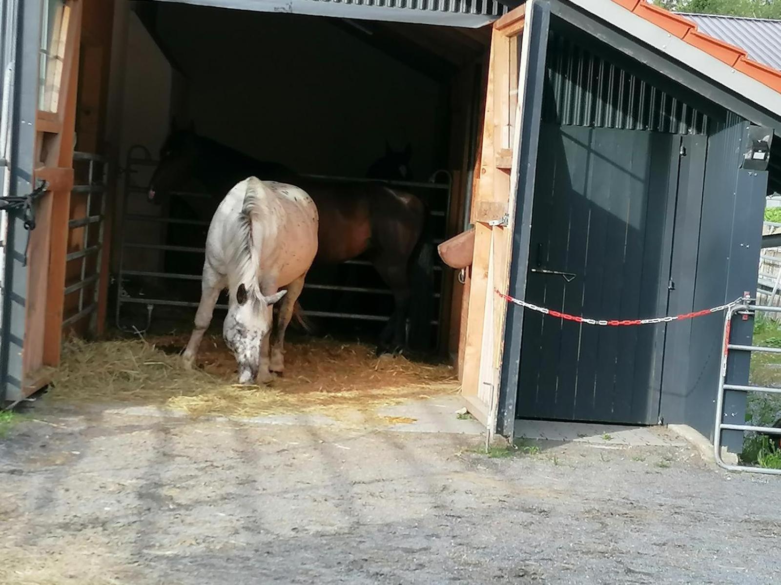 Wild Life Ranch Ferienhaus