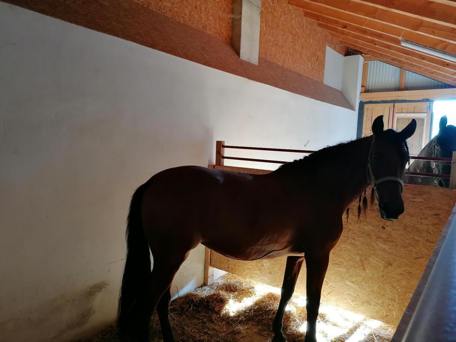 Wild Life Ranch Ferienhaus *