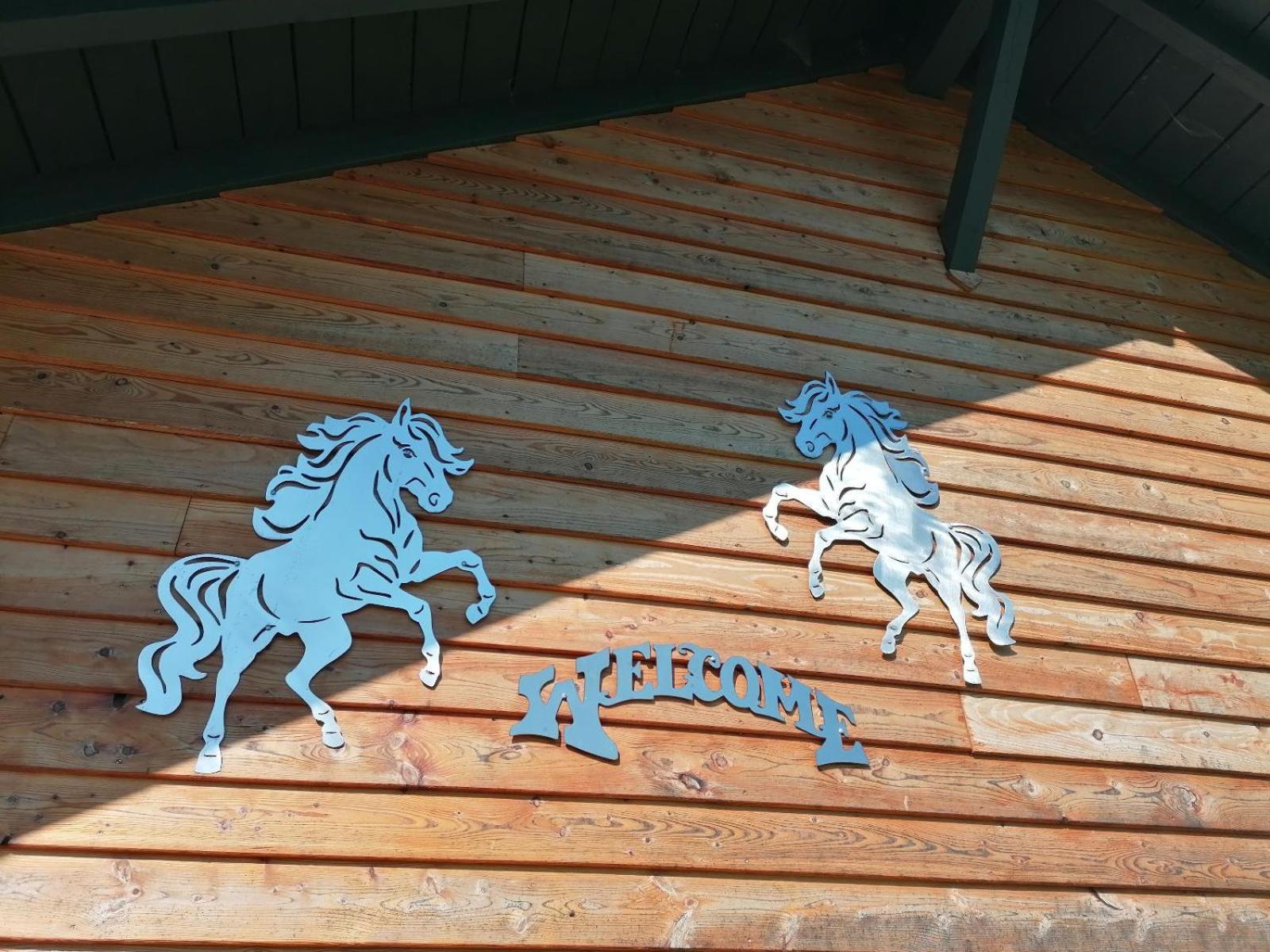 Ferienhaus Wild Life Ranch Schöfweg